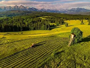 Haymaking in Meadows in Lapszanka with High Tatras Mountains in background