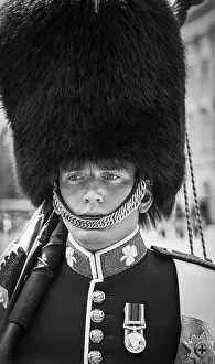 Central London Prints: Head shot of a soldier, a guardsman member of the Queen's Guard at Buckingham Palace