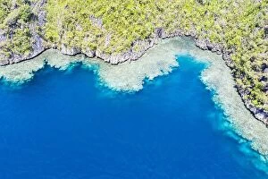 Aerial Landscape Collection: Healthy coral reefs fringe the limestone islands found in Raja Ampat, Indonesia