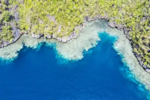 Healthy coral reefs surround the limestone islands found in Raja Ampat, Indonesia. This remote, tropical region is known for its marine biodiversity