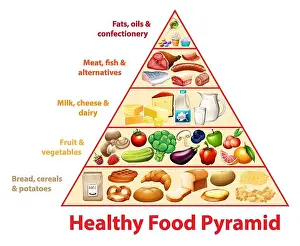 Learning Prints: Healthy food pyramid chart illustration