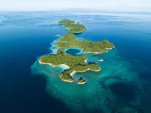 Healthy fringing coral reefs grow around the beautiful islands that rise from West Papua's seascape. This area is known for its high biodiversity