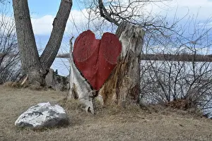 Tree Stump Prints: Heart painted on dead tree stump
