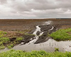 Debris Prints: Heavy rains and storms in the Midwest have caused flooding of farm fields and water runoff has lead to soil erosion