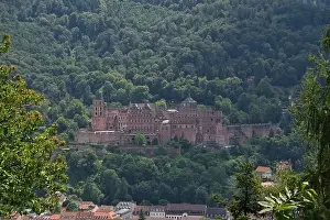 Heidelberg Castle Prints: Heidelberg, Germany - a university town and popular tourist destination