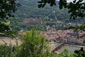 Heidelberg Castle Prints: Heidelberg, Germany - a university town and popular tourist destination
