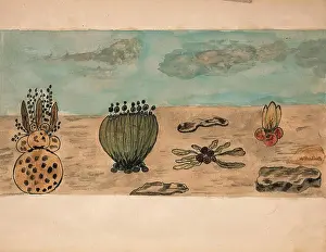Pflanzen Prints: Hélène Smith Außerirdische Pflanzen