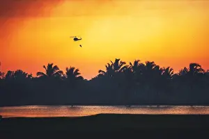 Dominican Prints: Helicopter flying over burning forest of palm trees, sunset silhouettes