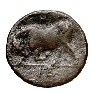 Rulers Prints: A Hemilitron bronze coin from Syracuse