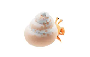 Hermit Prints: Hermit crab with cartoon style, 3d rendering. 3D illustration