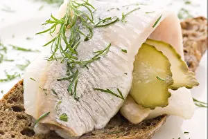 Teller Prints: Herring