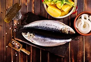 Salted Prints: Herring or Baltic herring with salt on dark backgruond