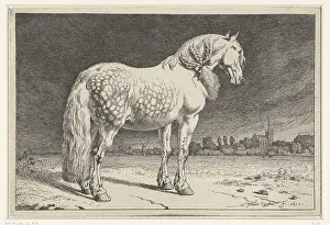 Friesian Prints: Het Friese paard Paarden (serietitel) a Friesian horse