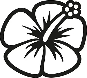 Hibiscus Prints: Hibiscus blossom outline