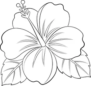 Flowerpot Prints: Hibiscus doodle style line art