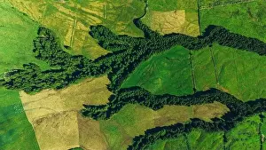 Verdant Prints: High-angle aerial shot capturing the contrasting landscapes of the Azores vast green fields split by winding rows of