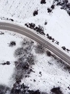 High angle top down aerial view drone image on road trough the trees