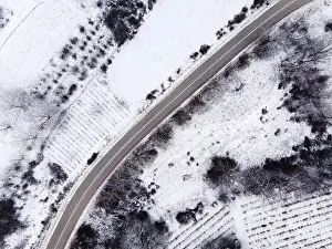 High angle top down aerial view drone image on road trough the trees
