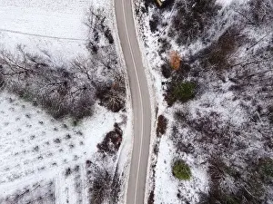 High angle top down aerial view drone image on road trough the trees