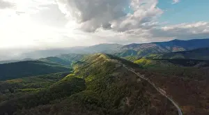 High angle aerial view drone image of sunset sun rays trough the trees