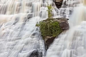 August Collection: High Falls in DuPont State Recreational Forest - Cedar Mountain, near Brevard, North Carolina, USA