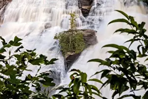 High Falls in DuPont State Recreational Forest - Cedar Mountain, near Brevard, North Carolina, USA