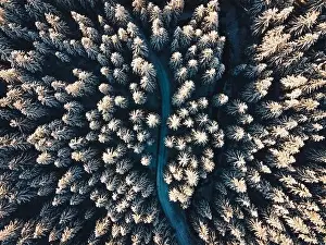 Green Park Prints: High quality aerial photo of a road leading through the deep forest covered in the snow in the central Europe