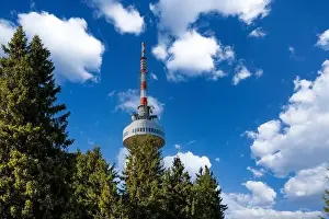 Snezhanka Tower Prints: The high tourist observation tower Snezhana on the mountain peak of Snezhana covered with evergreen spruce dense