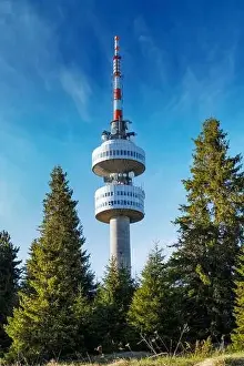 Snezhanka Tower Prints: The high tourist observation tower Snezhana on the mountain peak of Snezhana covered with evergreen spruce dense