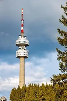 The high tourist observation tower Snezhana on the mountain peak of Snezhana covered with evergreen spruce dense