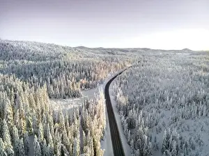 Slippery Prints: Highway with cars driving through a mountain pass with snow covered trees