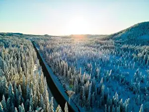 Slippery Prints: Highway with cars driving through a mountain pass with snow covered trees
