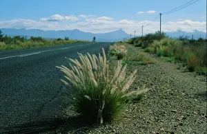 Country Road Prints: Highway R 62 near Oudtshoorn, crossing the arid Little Karoo desert of South Africa