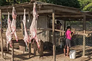 Higüey, La Altagracia, May 27, 2017: Dominican girl working at a goat slaughter house on the side of the road
