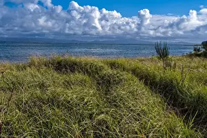 Willapa Bay Prints: A hiking trail cuts through the grass to the Willapa Bay shore at Leadbetter Point State Park in Washington