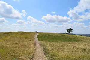 Theodore Prints: Over The Hill
