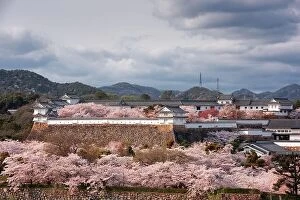 Images Dated 9th April 2017: Himeji, Japan at Himeji Castle outer wall during spring cherry blossom season in the day