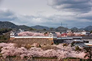 Himeji, Japan at Himeji Castle outer wall during spring cherry blossom season in the day