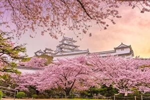 Images Dated 10th April 2017: Himeji, Japan at Himeji Castle in spring with cherry blossoms in full bloom