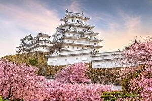 Landscape Collection: Himeji, Japan at Himeji Castle in spring with cherry blossoms in full bloom