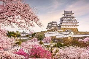 Landscape Collection: Himeji, Japan at Himeji Castle in spring with cherry blossoms in full bloom