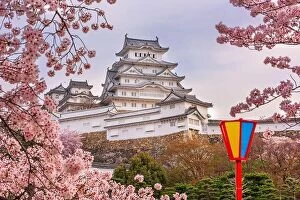 Images Dated 10th April 2017: Himeji, Japan at Himeji Castle during spring cherry blossom season