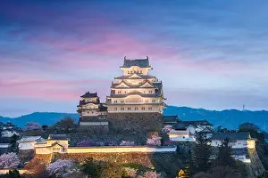 Himeji, Japan at Himeji Castle during spring cherry blossom season