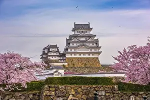 Himeji, Japan at Himeji Castle during spring cherry blossom season