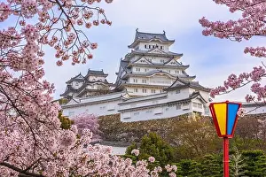 Himeji, Japan at Himeji Castle during spring cherry blossom season