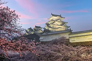 Himeji, Japan at Himeji Castle during spring cherry blossom season
