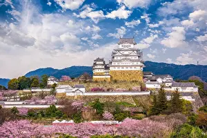 Himeji, Japan at Himeji Castle during spring cherry blossom season