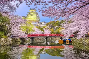 Himeji, Japan at Himeji Castle during spring cherry blossom season