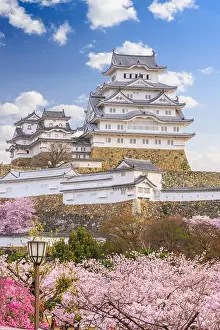 Himeji, Japan at Himeji Castle during spring cherry blossom season