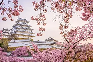 Himeji, Japan at Himeji Castle during spring cherry blossom season